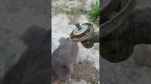 Установка на триммер катушки «Паук» часть 1. В главной р