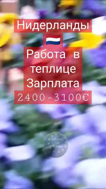 #работа #работать #германия #норвегия #лес #огонь #рек #ц смотреть онлайн