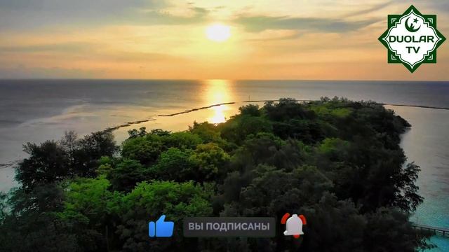 АГАР БУ ДУОНИ 100 МАРТА УКИСАНГИЗ смотреть онлайн