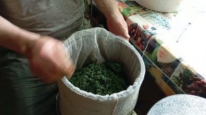 приготовление сока лопуха
