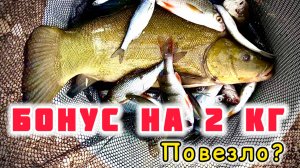 Как проходят соревнования по рыболовном спорту в дисциплине Ловля поплавочной удочкой #топыкатегорий