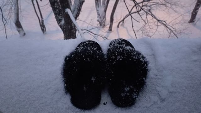 ASMR Видео как на Мои Любимые Тапочки UGG Scuff Sus Снег Идет ? смотреть онлайн