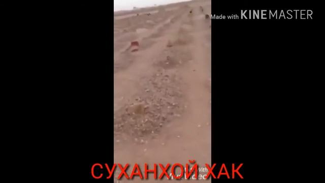 БУБИНЕД ХОЛУ РУЗИ ДУНЁРО смотреть онлайн