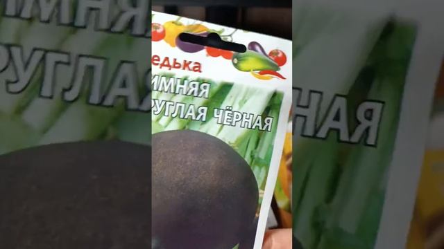 Обзор семян редьки, дайкона, репы на 25 год