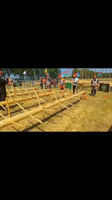 Лесоруб 2024 Брянск #zimani #farmertec #валкалеса #wood #chainsaw #holzfforma смотреть онлайн