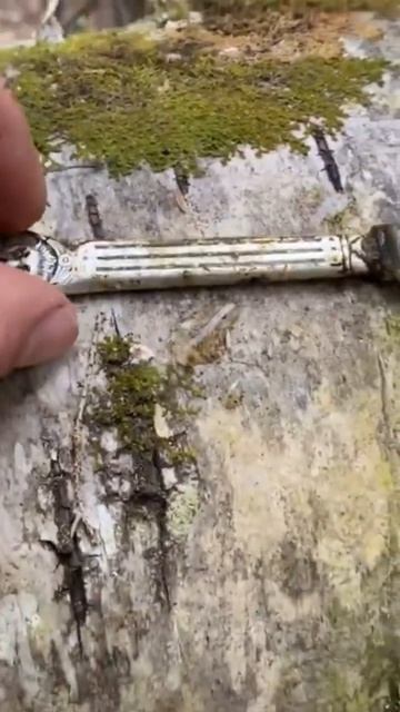 Находка ч.116🔥🔥🔥 #леснойскобарь#2024 #коп#металлоискат смотреть онлайн