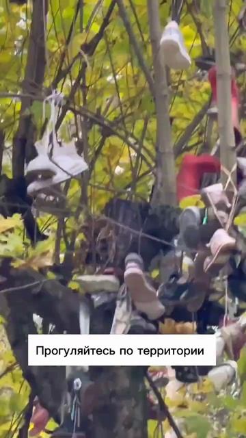 Если вы там не были, то точно стоит побывать! Подробнее смотреть онлайн