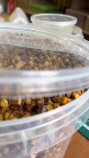 В наш магазин залетают такие гости 🐝🐝🐝 #вкусномёд #воск #мёд #пчеловодство #вощина #bee