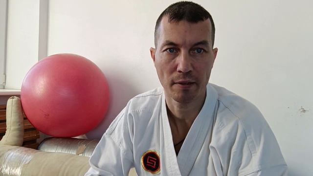 Гибридное обучение каратэ: старт проекта Karate Home Dojo