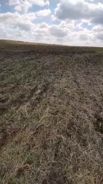 работа дисковой бороны БД-11 производство STELLAR смотреть онлайн