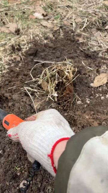 Находка ч.509🔥🔥 #леснойскобарь#2025#металлоискатель#minel смотреть онлайн