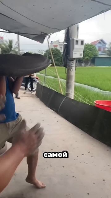 Ты такую игру точно не видел 😱 смотреть онлайн