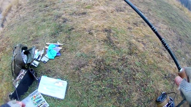 Блесна KUUSAMO Professor, принесла трофей!Закрыл сезон.Рыбалка в ноябре.Отчет 10.11.18. смотреть онлайн