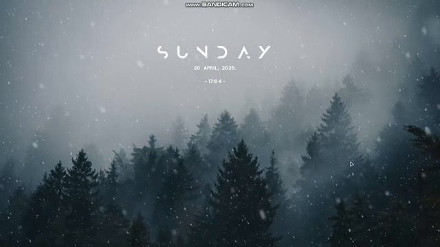 Мой рабочий стол (2025)