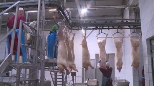 Боец скота отделения обвалки мяса и изготовления полуфабрикатов