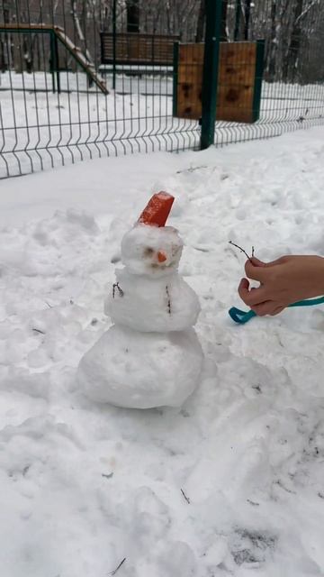 Шпиц увидел первый снег ❄️☃️🐶 #шпиц #минишпиц #щенокшпица #первыйснег смотреть онлайн