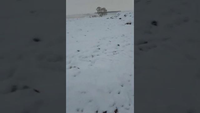 Супер-Мега Коп Золотых Самородков Зима 2022. Смотреть д? смотреть онлайн