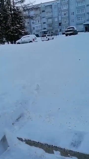 Могильник авто на Д.Народов 78 Усть-Илимск смотреть онлайн