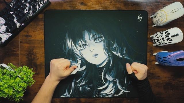 Это просто ИМБОВЫЕ КОВРИКИ для мыши | Обзор на ковры AIMS