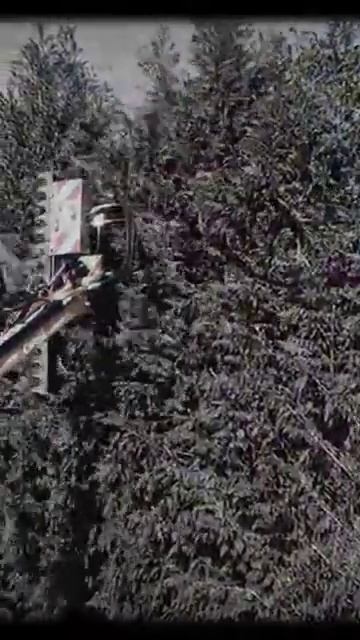 кусторез косилка стреловая смотреть онлайн