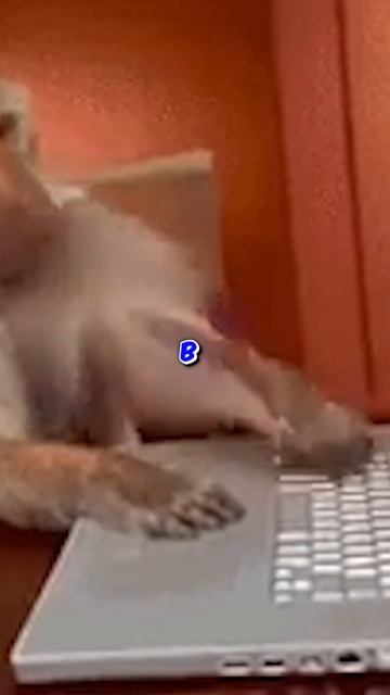 УГАДАЙ ОРУЖИЕ ПО ЗВУКУ В STANDOFF 2 #standoff2 #shorts