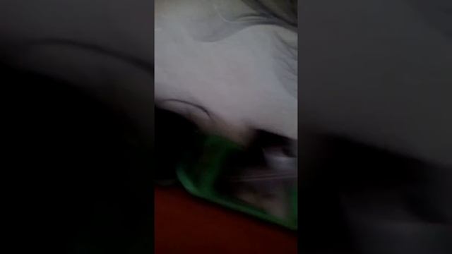 Мой рабочий стол. смотреть онлайн