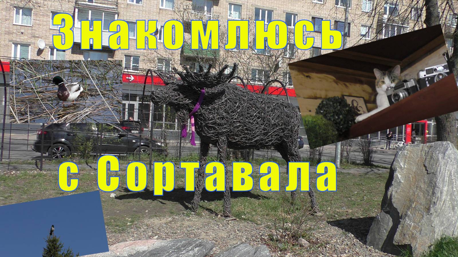 ОТПУСК В СОРТАВАЛА/ ЗНАКОМСТВО С ГОРОДОМ /18 мая 2025 г смотреть онлайн