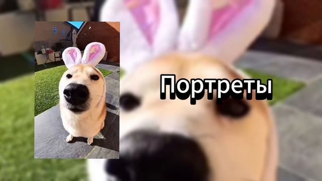 Портреты (speed Up)