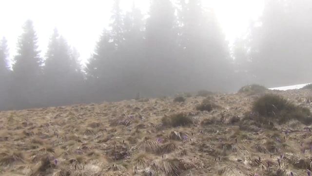 Ротило-Микуличин 2017 (Part1_Волова-Ротило)