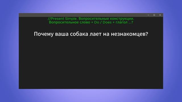 3.Английский тренажер. Present Simple. Вопросы. Практика 2