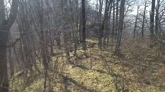 Весна в Туапсинском районе. 1. Хребет Мезецу. смотреть онлайн