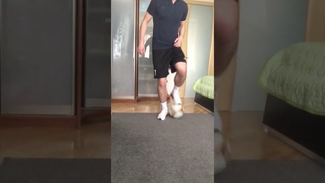Техника владения мячом смотреть онлайн