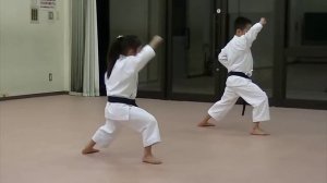 ката хейн шодан (белый пояс)