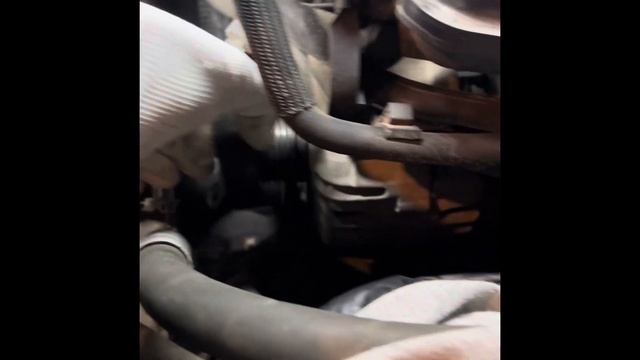 Ауди ку3, (Q3) 2.0 Tfsi. Замена приводного ремня (ремень гене?