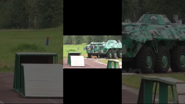 Верный друг Полоса препятствий дистанция 300м смотреть онлайн