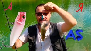 поппер от А до Я Советы по рыбалке