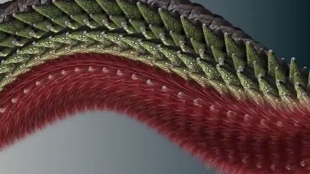 "Крама" - Ім не трэба мой блюз (1994) смотреть онлайн