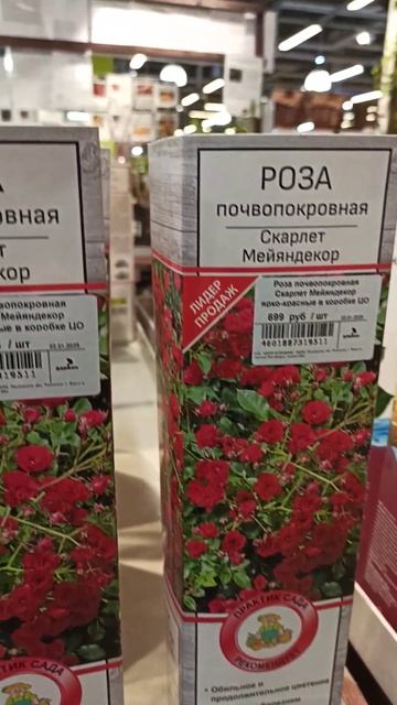 ДАРВИН. Ассортимент и цены роз в коробках агрофирмы ПО смотреть онлайн