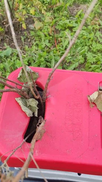 Садовый измельчитель STERWINS ESH2-45. 41 смотреть онлайн