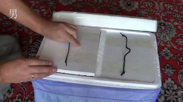 сумка-холодильник своими руками смотреть онлайн