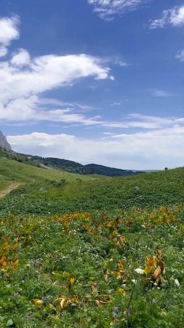 Сидящий в облакеФишт-Оштеновский массивгорыкавказагорыфиштоштенпшехасуэндуроenduro