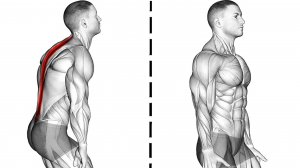 Идеальная Осанка за 30 дней