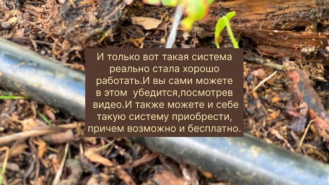 Система полива моего огорода смотреть онлайн