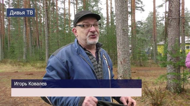 Зарница 2.0 смотреть онлайн
