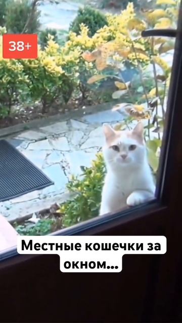 Ну сегодня они точно не уснут😅Простите мне мой юмор? смотреть онлайн