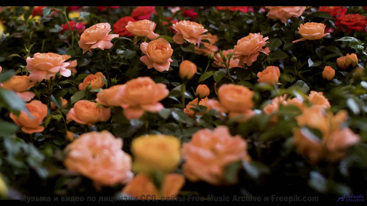 Музыка, под которую хочется целоваться - попробуйте! - Risers -- Chad Crouch -- Arps II