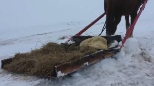 Аудиокнига Ирина Велембовская _Несовершеннолетняя_ Глава 2 Читает Марина Багинская