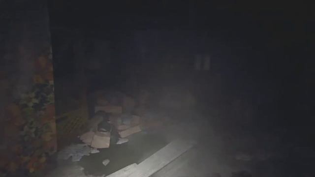 Проходим первое прохождение Resident W.l.l #1 1080 Р