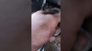 продукция фирмы линкс LYNXauto