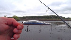 Не зря поставил этот ВОБЛЕР! Спиннинг открытие сезона 2023! Спиннинг с берега!